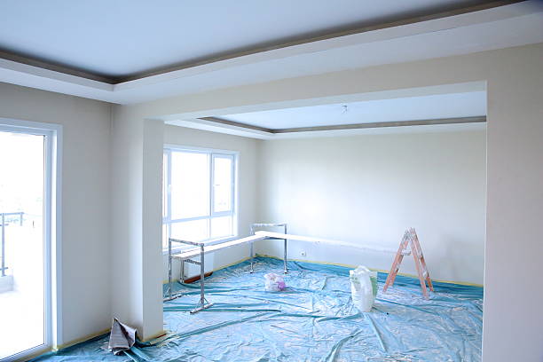 Best Drywall Removal and Disposal  in Fairbury, IL