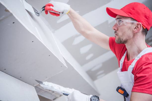 Best Water-Damaged Drywall Repair  in Fairbury, IL